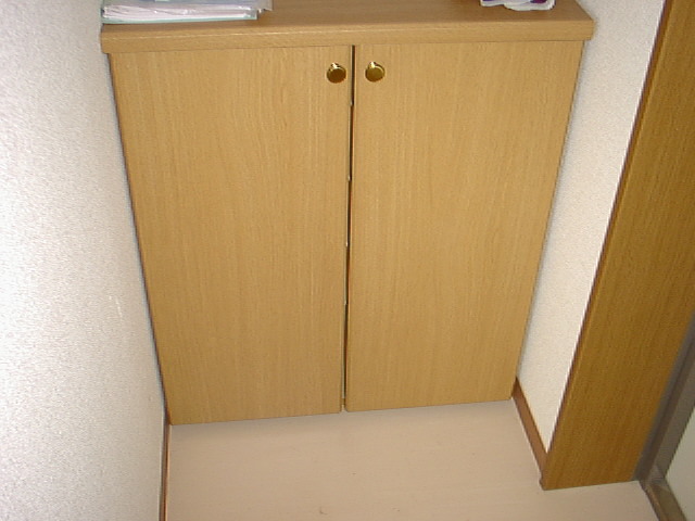 Sany0163